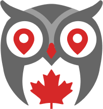 Owlio — LeafPath mascot